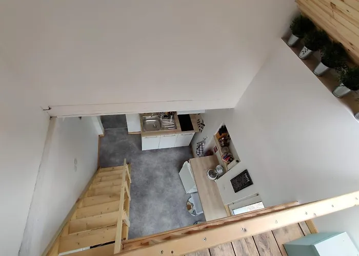 Mezzanine Chez Papou, Et Forêt
