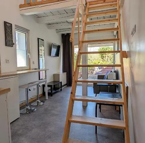 Mezzanine Chez Papou, Et Forêt Appartamento Strasburgo